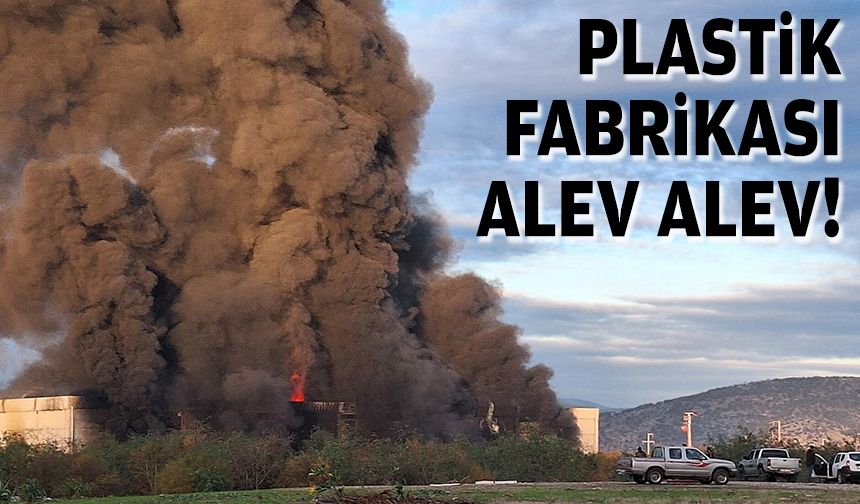 Plastik fabrikası alev alev!