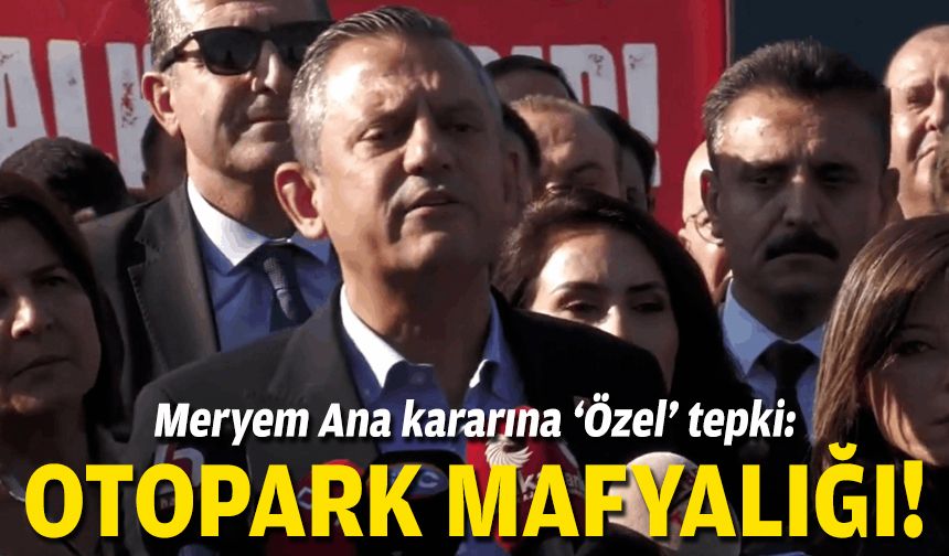 Meryem Ana kararına 'Özel' tepki: Yapılan iş otopark mafyalığıdır!