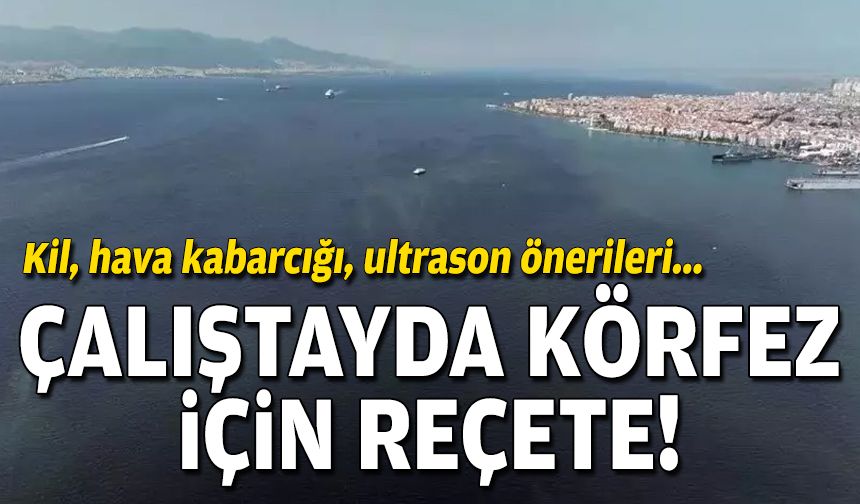 Çalıştayda İzmir Körfezi için reçete: Kil, hava kabarcığı, ultrason önerileri!