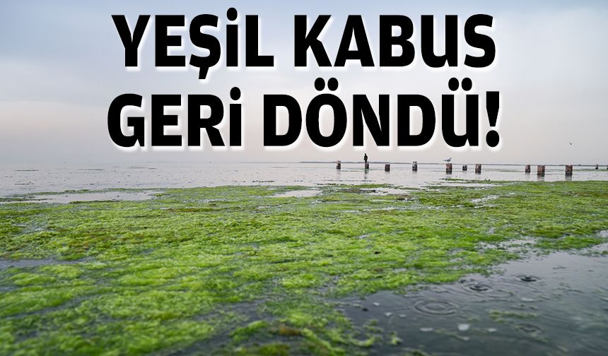 Yeşil kabus geri döndü!