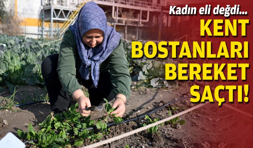 Kadın eli değdi... Kent Bostanları bereket saçtı!