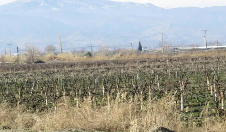 7 yeni JES'e onay... Üzümün başkentine darbe!