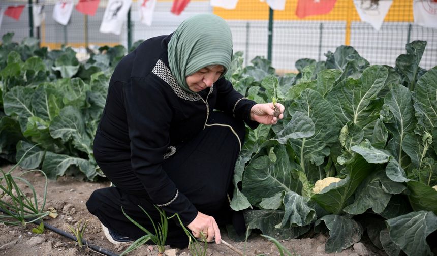 Kadın eli değdi... Kent Bostanları bereket saçtı!