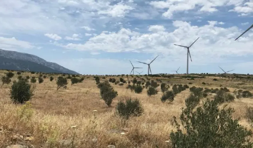 İlk proje mahkemeden dönmüştü... Zeytinliklere demir perde ısrarı!