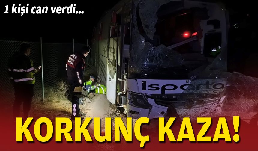 Yolcu otobüsü şarampole devrildi... Korkunç kaza!