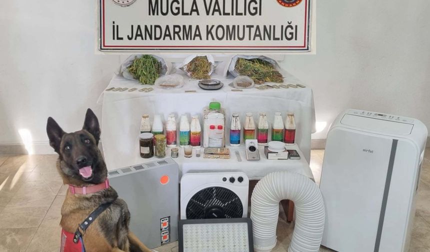 Muğla’da uyuşturucu operasyonu