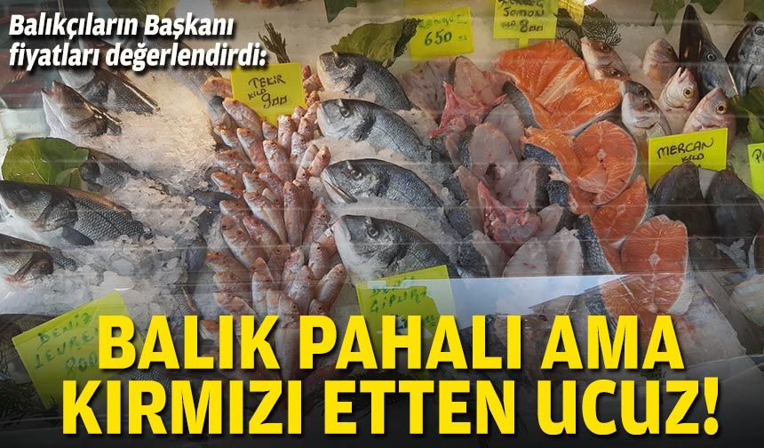 Balıkçıların Başkanı, fiyatları değerlendirdi: Balık pahalı ama kırmızı etten ucuz!