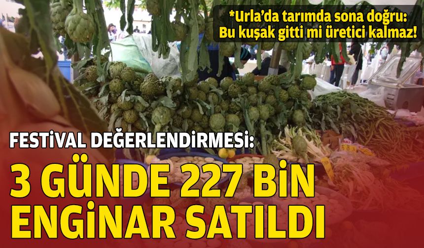 Festival değerlendirmesi: 3 günde 227 bin enginar satıldı!
