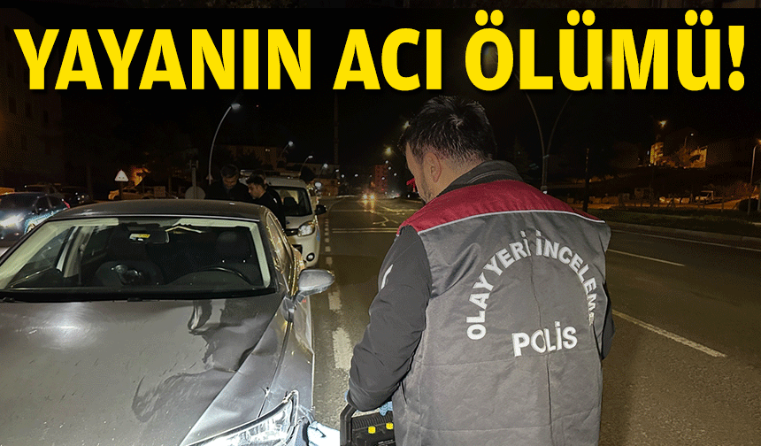 Kazada yayanın acı ölümü!