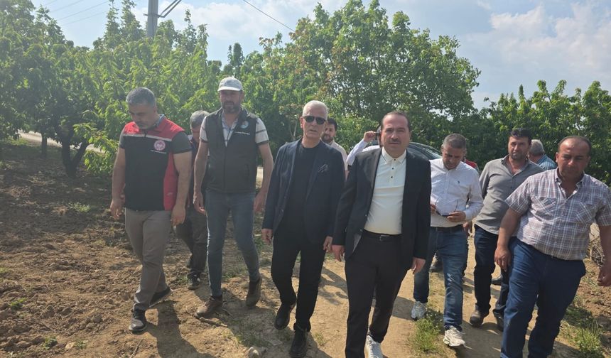 Oda Başkanı zirai don faciasını yorumladı: Depremden daha beter!