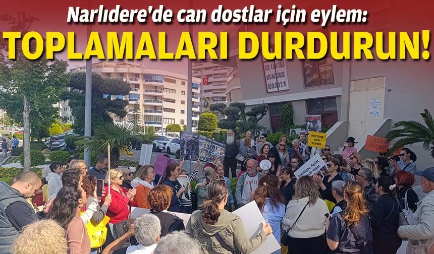 Narlıdere'de can dostlar için eylem: Toplamaları durdurun!