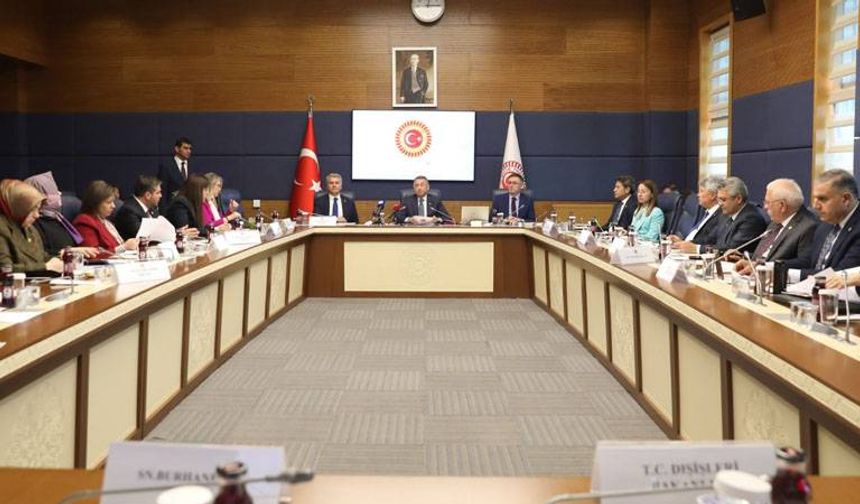 Dışişleri Komisyonu'nda 6 uluslararası anlaşma kabul edildi