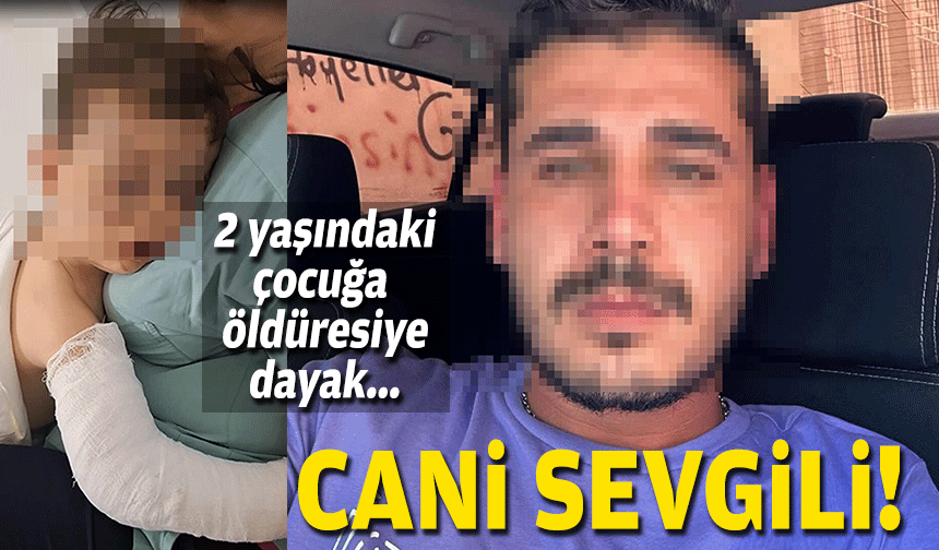 Cani sevgili... 2 yaşındaki çocuğa vahşeti yaşattı!
