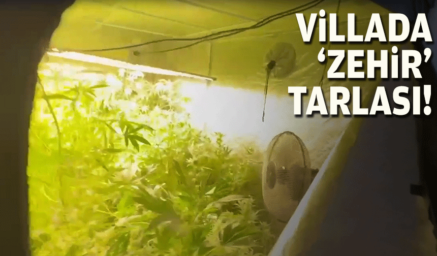 'Zehir' villasına baskın!