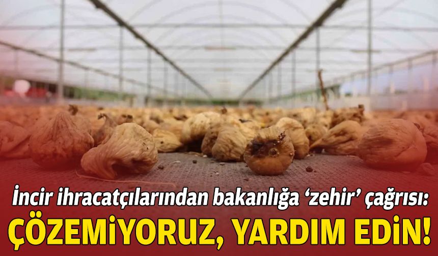 İncir ihracatçılarından bakanlığa ‘zehir’ çağrısı: Çözemiyoruz, yardım edin!