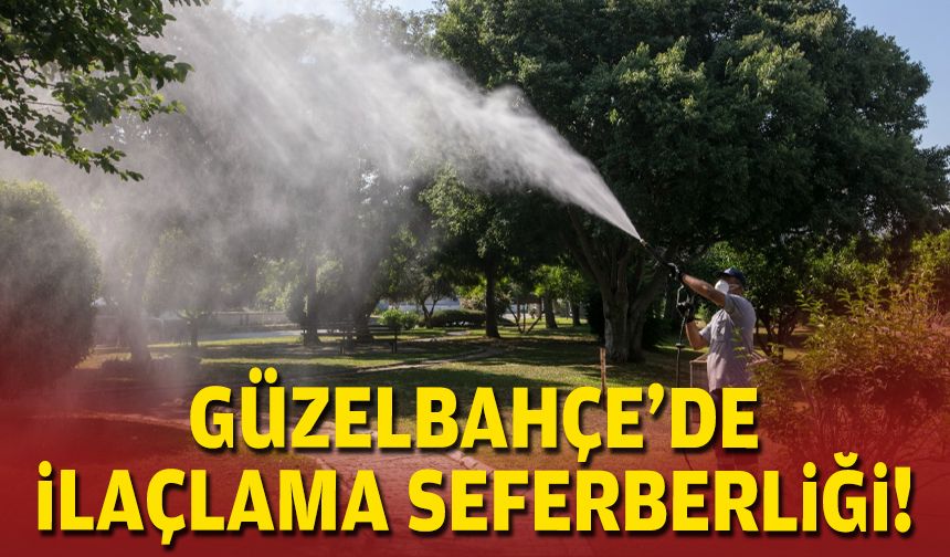 Üç ay sürecek... Güzelbahçe'de ilaçlama seferberliği!