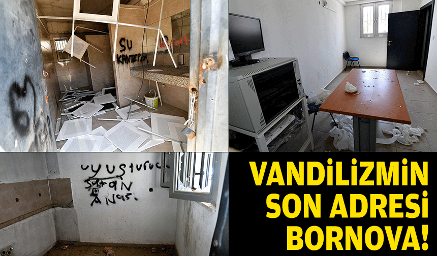 Bornova'da vandalizm... Pazaryerine saldırı!