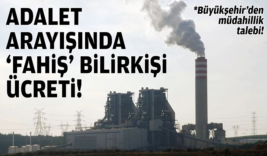 Adalet arayışında ‘fahiş’ bilirkişi ücreti!