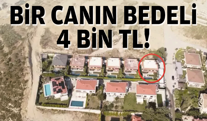 Bir canın bedeli 4 bin TL!