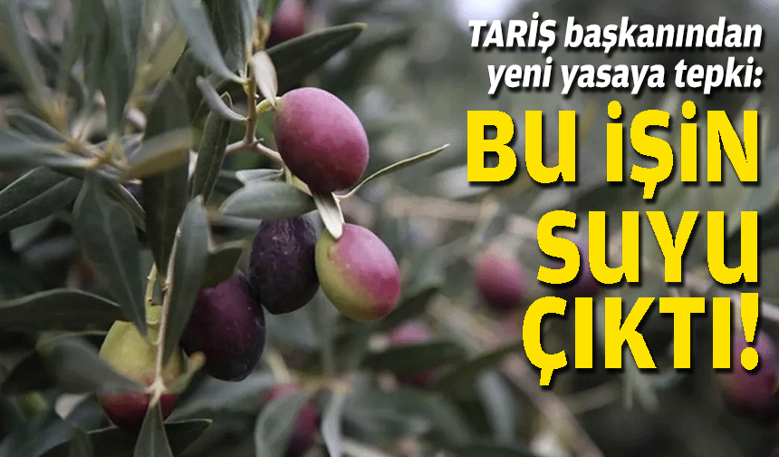 TARİŞ başkanından yeni yasaya tepki: Bu işin suyu çıktı!