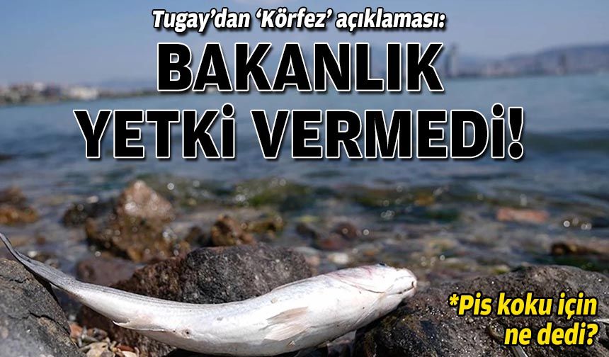 Tugay’dan ‘Körfez’ açıklaması: Bakanlık yetki vermedi!