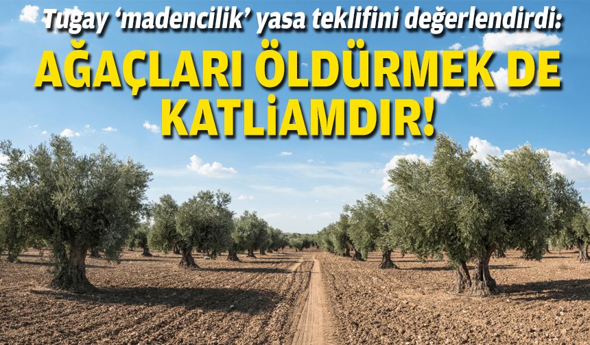 Tugay ‘madencilik’ yasa teklifini değerlendirdi: Ağaçları öldürmekte katliamdır!