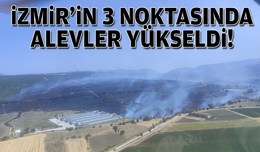 İzmir'de korkutan orman yangını!
