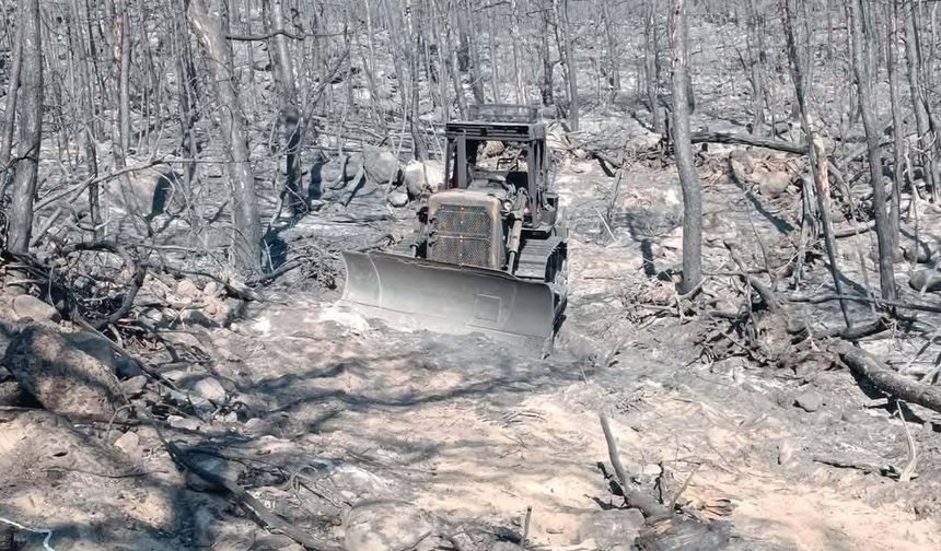 10 orman savaşçısının şehit olduğu alanın fotoğrafları ortaya çıktı