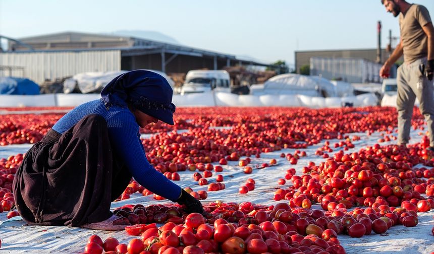 Kavurucu sıcakta kırmızı mesai!