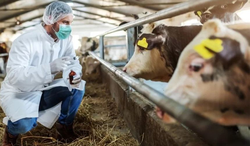 Bergama’da alarm:16 köy karantinaya alındı!