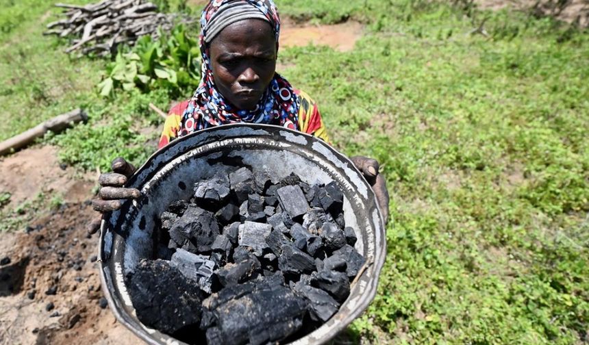 Küresel kömür kullanımı 2024’te rekor kırdı