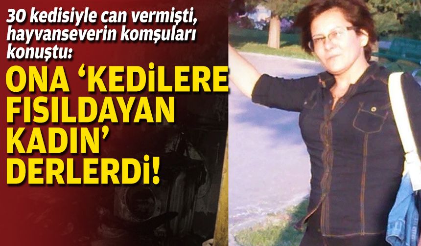 30 kedisiyle can vermişti... Hayvanseverin komşuları konuştu: Ona ‘Kedilere fısıldayan kadın’ derlerdi!