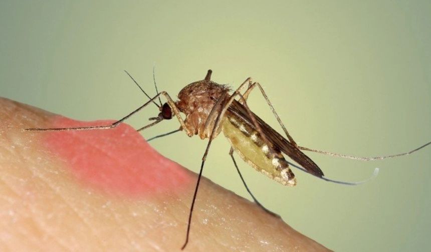 Tabip Odası'ndan enfeksiyon uyarısı!