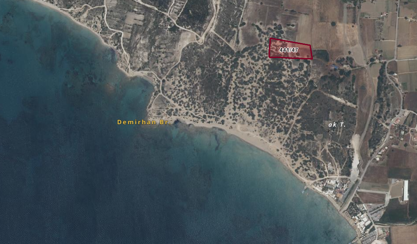 Aralarında denize yakın parseller de var... İzmir'de 554 milyonluk satış!