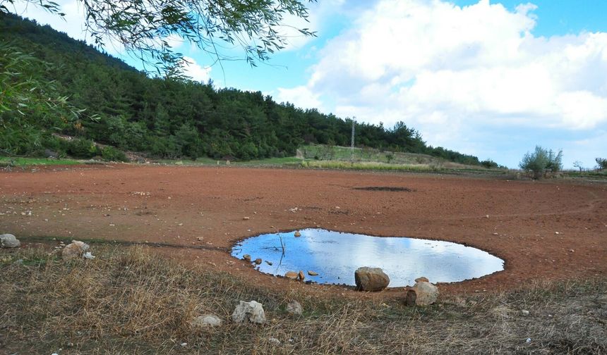 Geçen yıl tankerlerle su taşınmıştı... Sülüklü Göl kurudu!