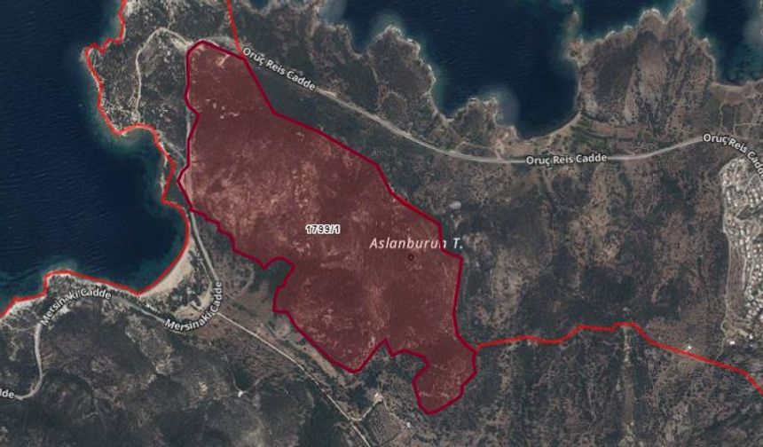 Foça’daki dev planlamaya bakanlıktan itiraz: Ormana girdin, çık!