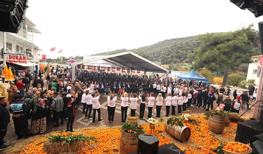 Menderes Mandalina Festivali ile coşacak