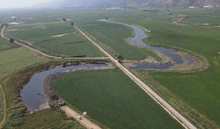 Pamuk terk edildi, buğdaydan umut yok: Sökeli çiftçiler alternatif arıyor