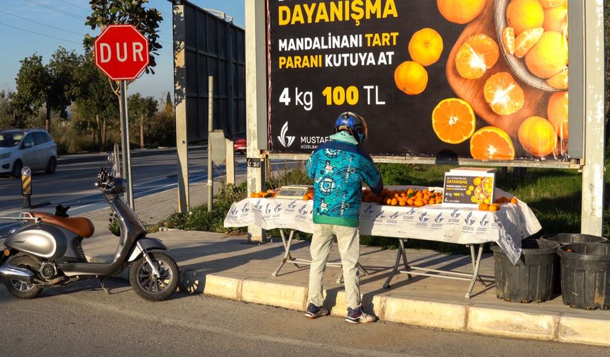 Güzelbahçe’de güven ekonomisi: Mandalinayı al, parasını bırak