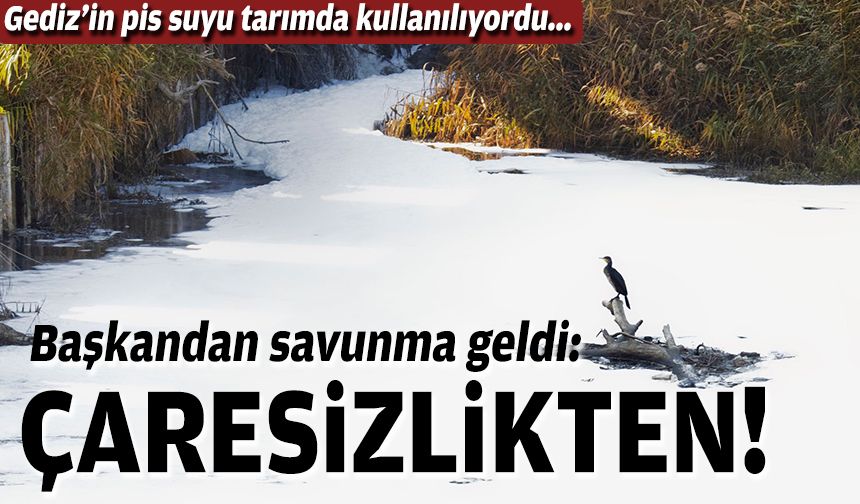 Gediz’in pis suyu tarımda kullanılıyordu... Başkandan savunma geldi: Çaresizlikten!