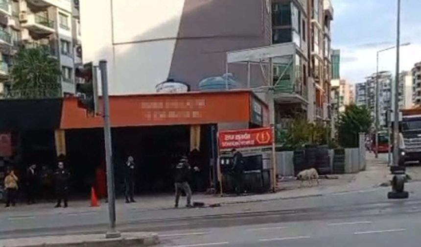 İzmir'de acı olay: Kamyonetin çarptığı Nisanur hayatını kaybetti!