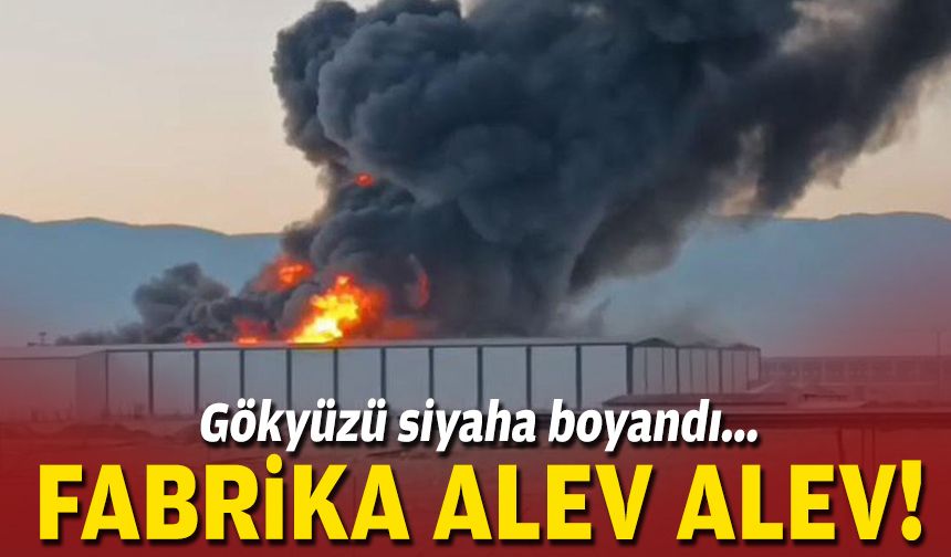 Gökyüzü siyaha boyandı... Fabrika alev alev!