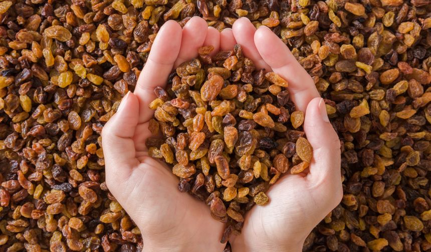 Türkiye, kuru üzüm ihracatında lider