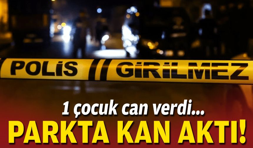 İzmir'de parkta kan aktı... 1 çocuk can verdi!