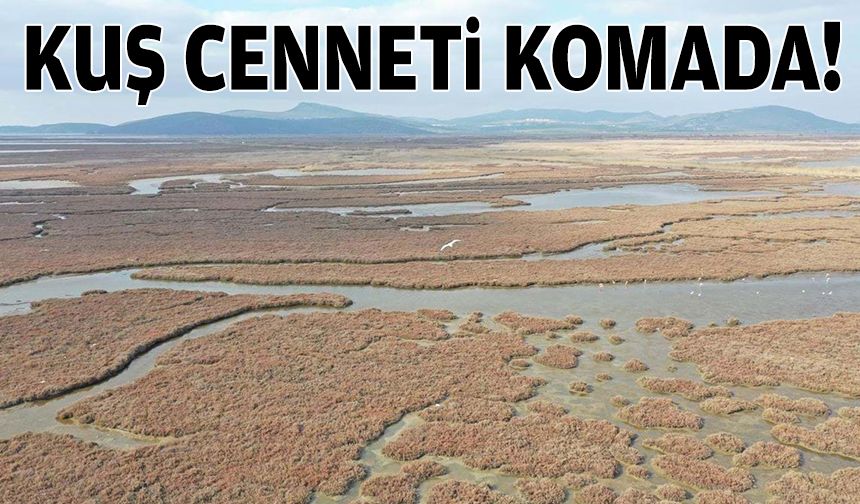 Kuş Cenneti komada!