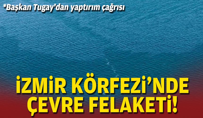 İzmir Körfezi'nde çevre felaketi!