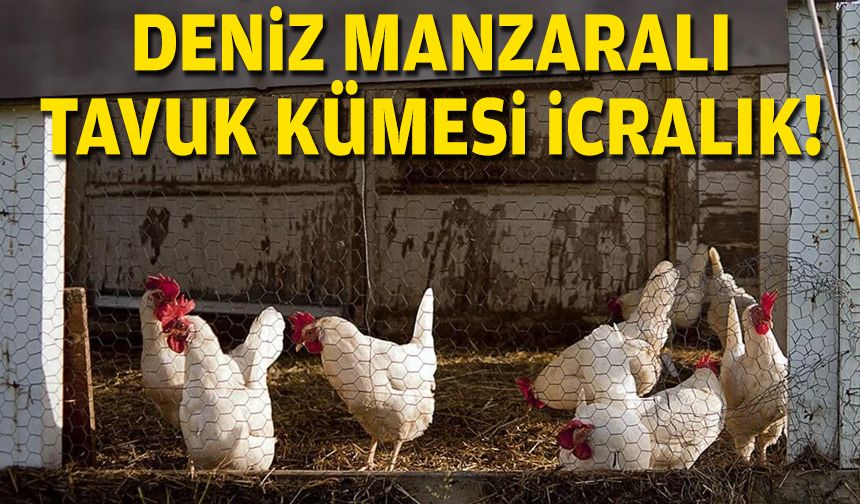 Deniz manzaralı tavuk kümesi icralık!