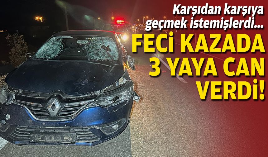 Karşıdan karşıya geçmek istemişlerdi... Feci kazada 3 yaya can verdi!