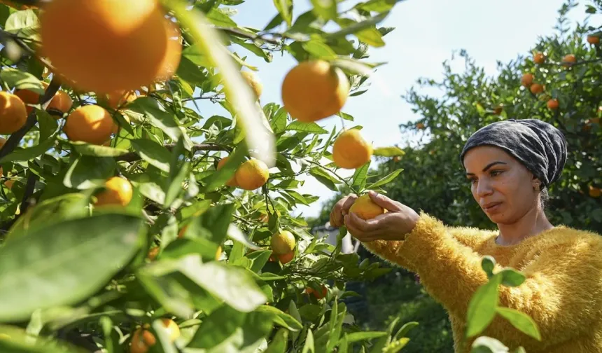 Selçuk'un simgesinde hayati tehlike!