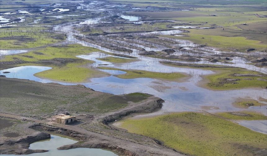 Tahtalı dibi gördü!